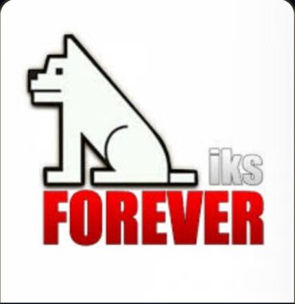 SERVEUR FOREVER