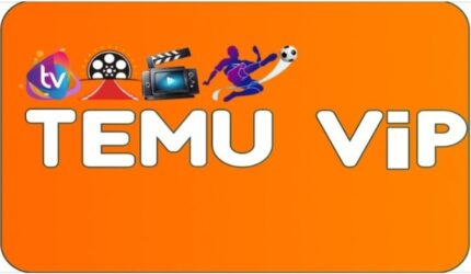 TEMU VIP